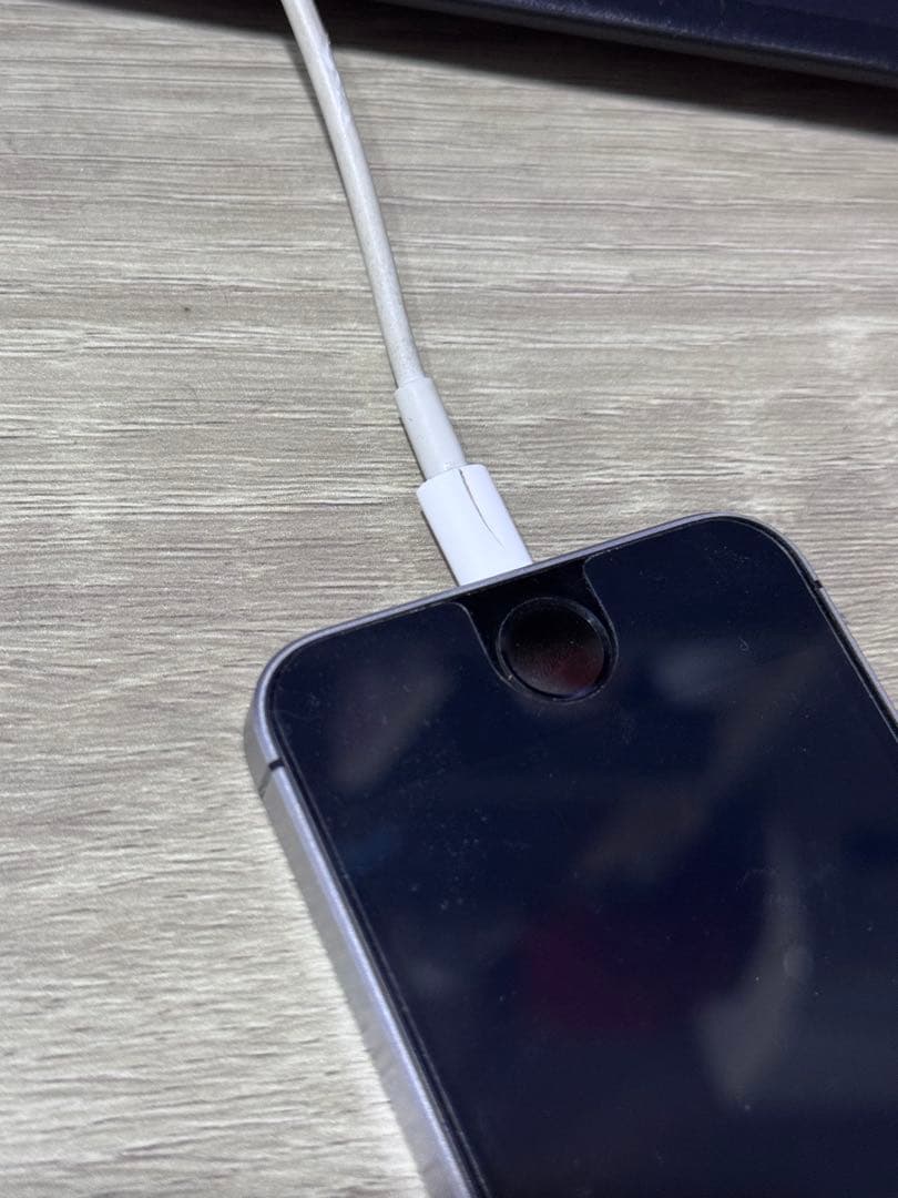 Apple iPhone SE 初代 シルバー 本体 +充電器付