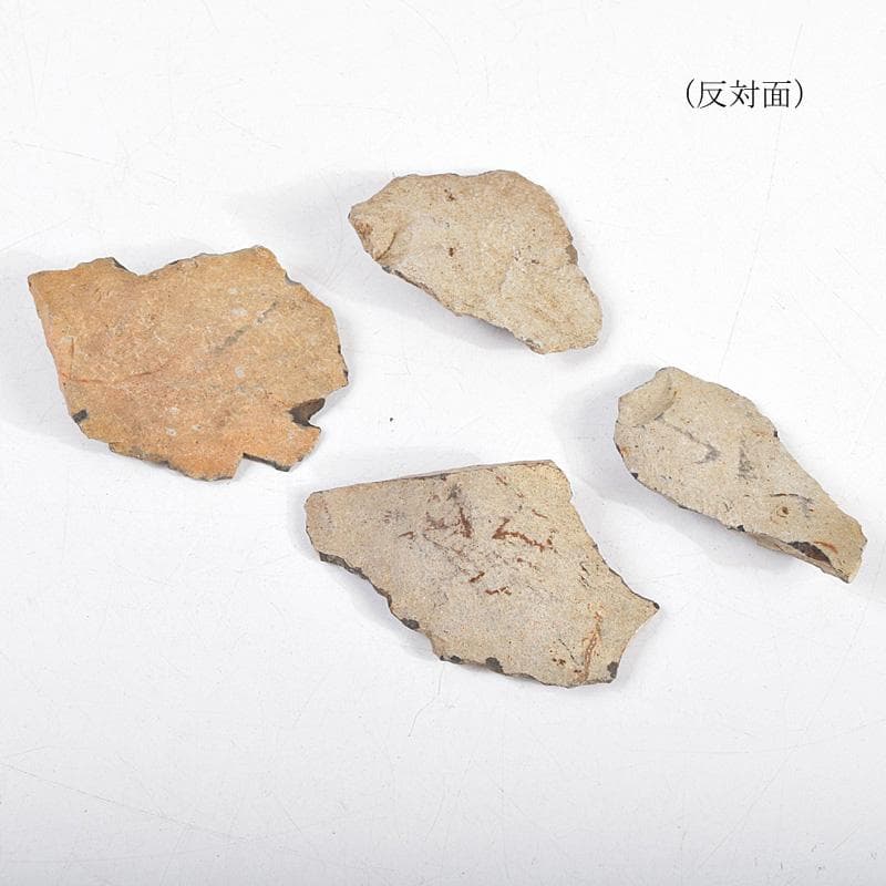 群馬県藤岡市近郊出土　後期旧石器時代　剥片石器　18点まとめて　C　R9313