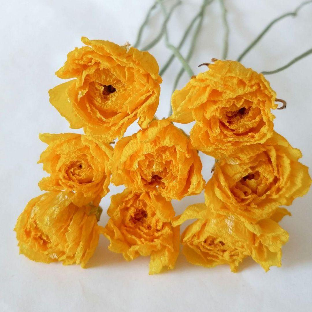 かずみ様　　　速達発送