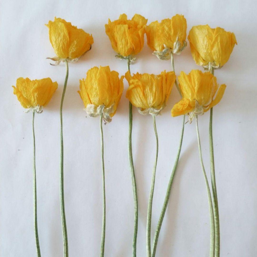 かずみ様　　　速達発送