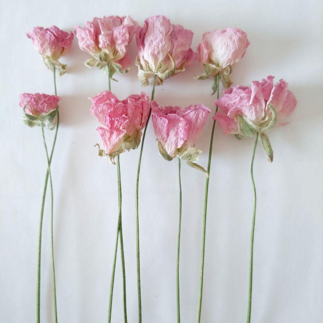 かずみ様　　　速達発送