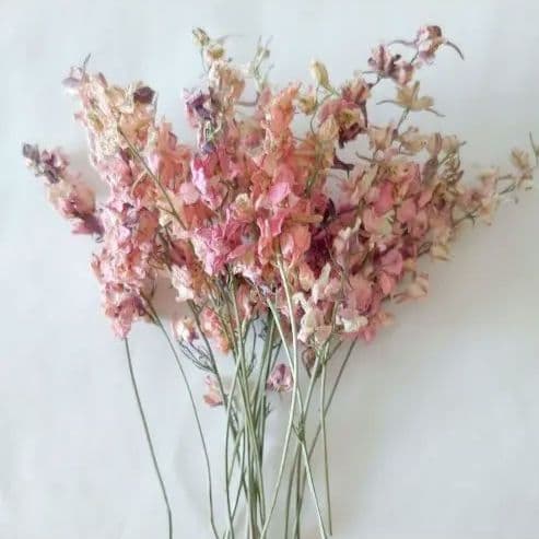 かずみ様　　　速達発送