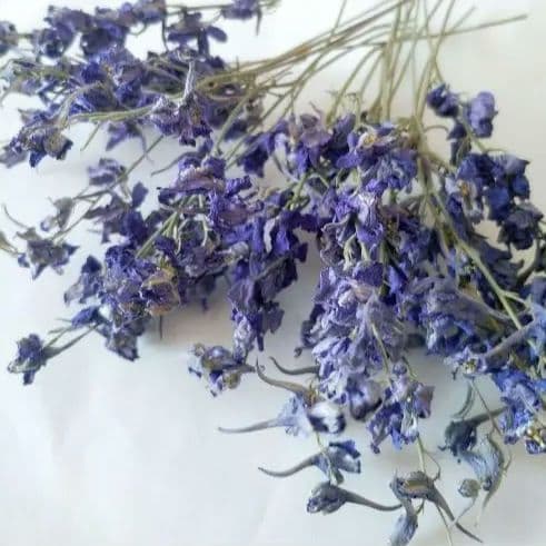 かずみ様　　　速達発送