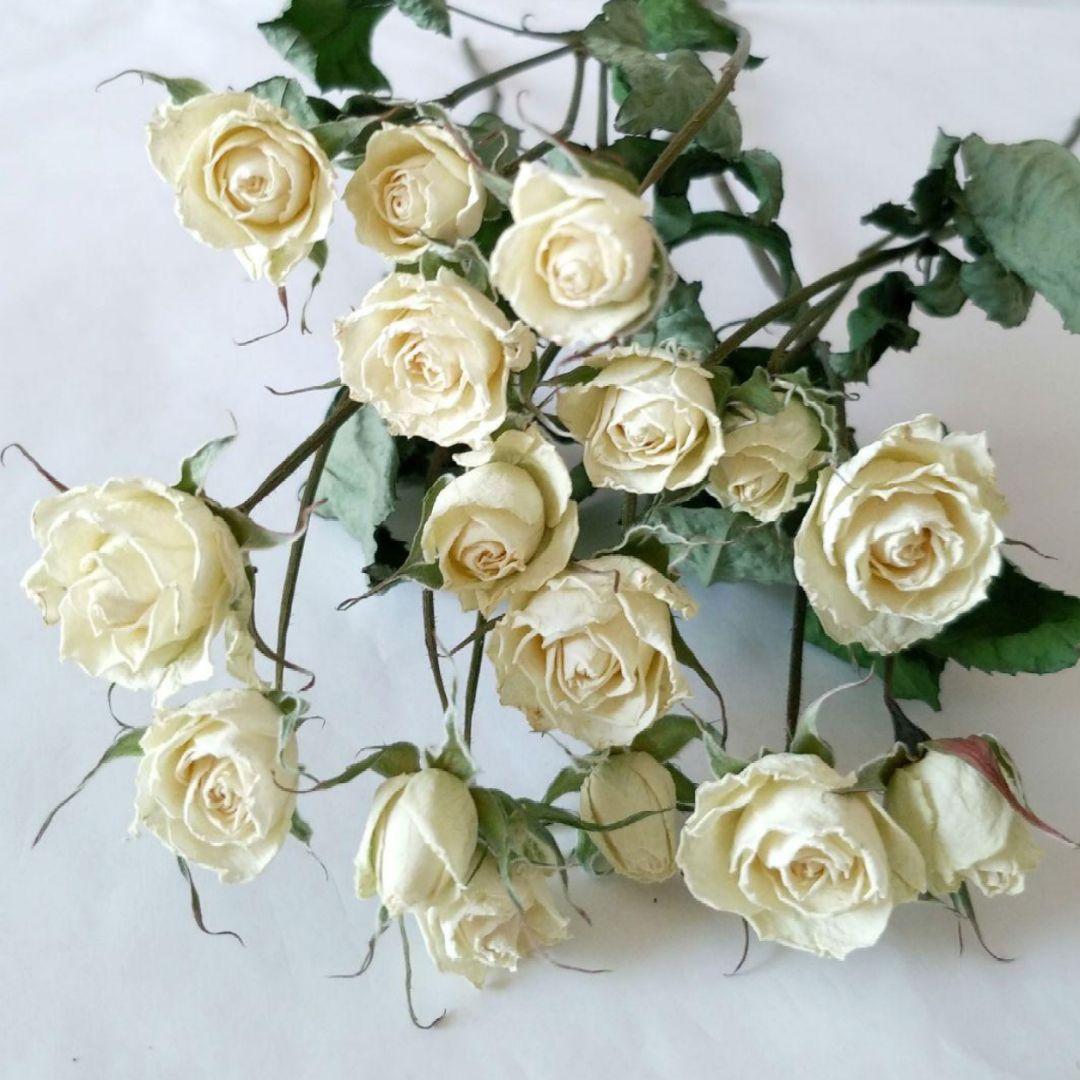 かずみ様　　　速達発送