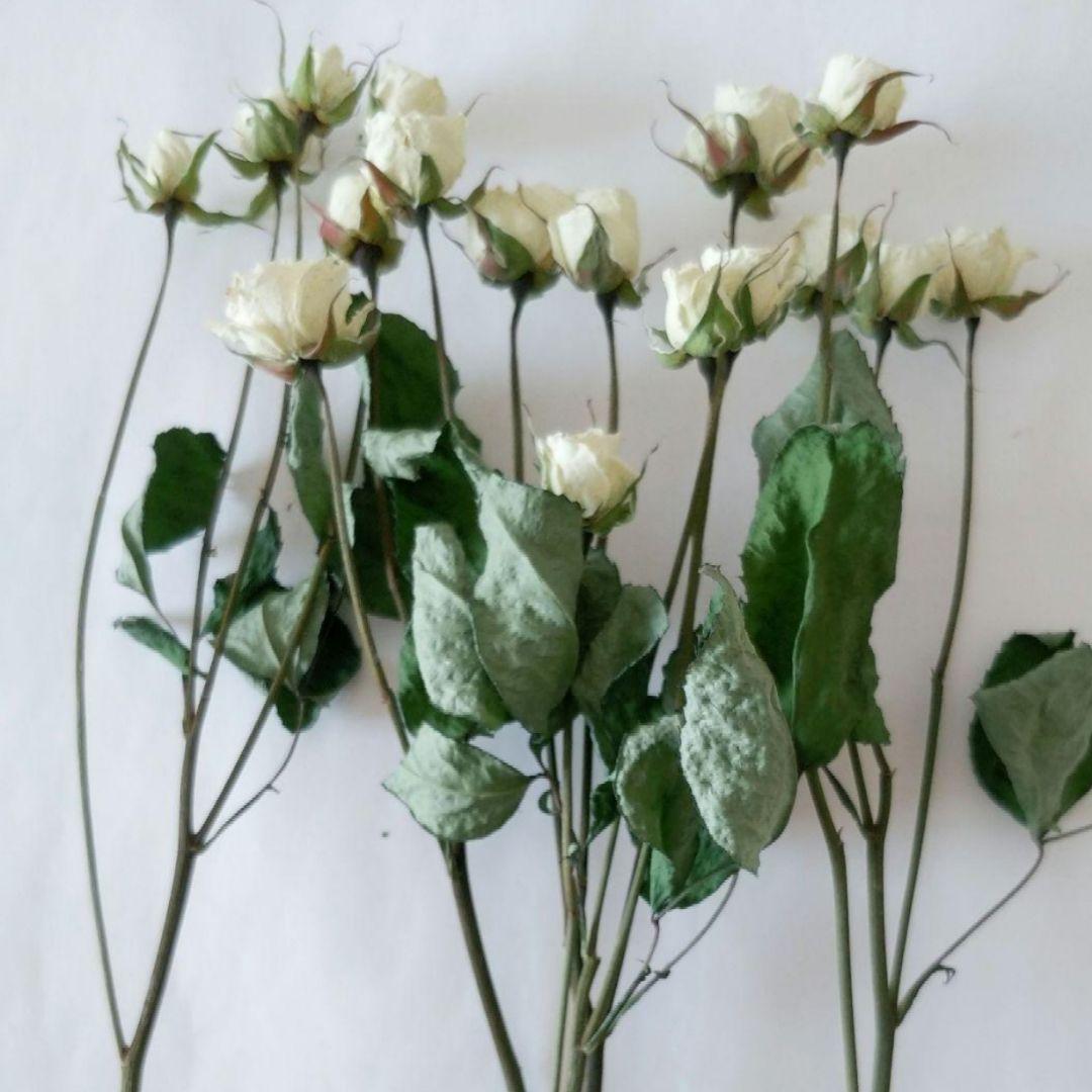 かずみ様　　　速達発送