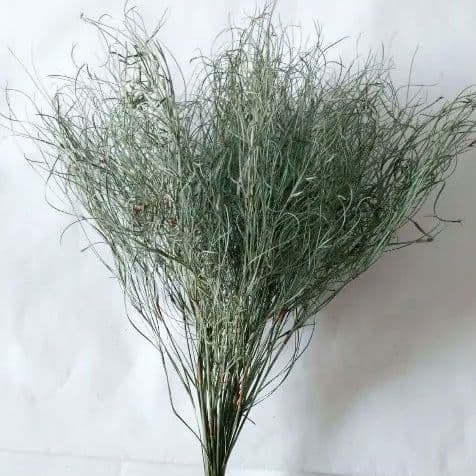 かずみ様　　　速達発送