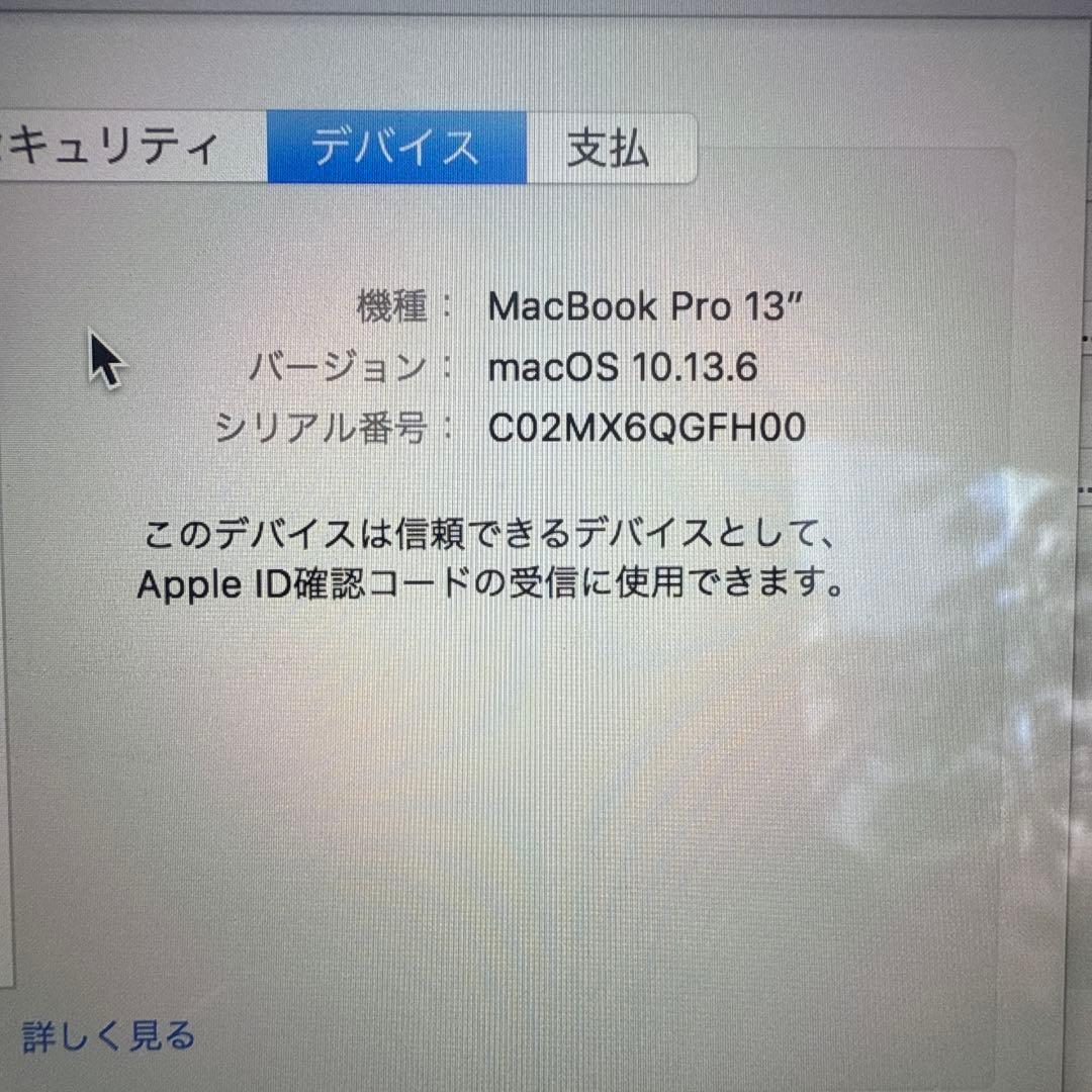 MacBook本体 Apple MacBook Pro 13\" (A1980)