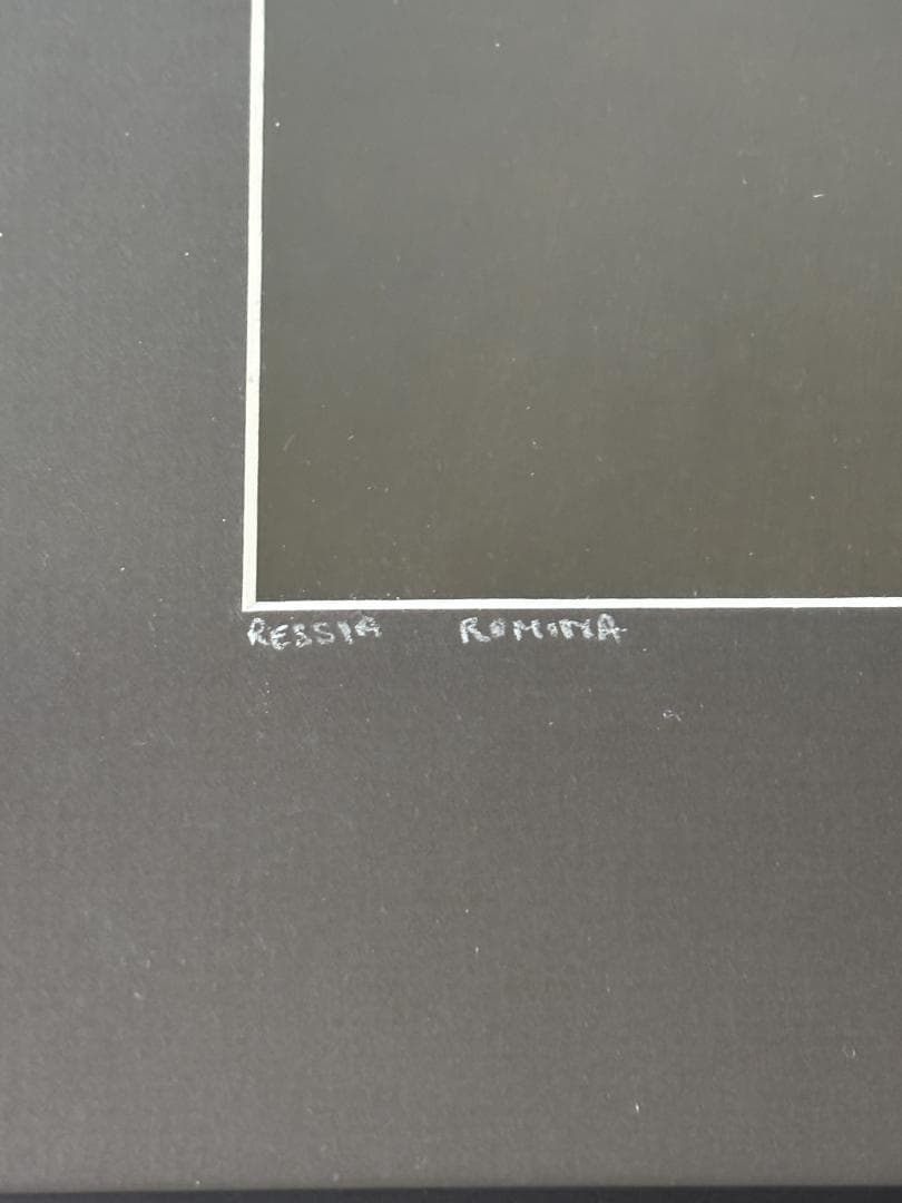 ロミナ レッシア バーガー アート 額装