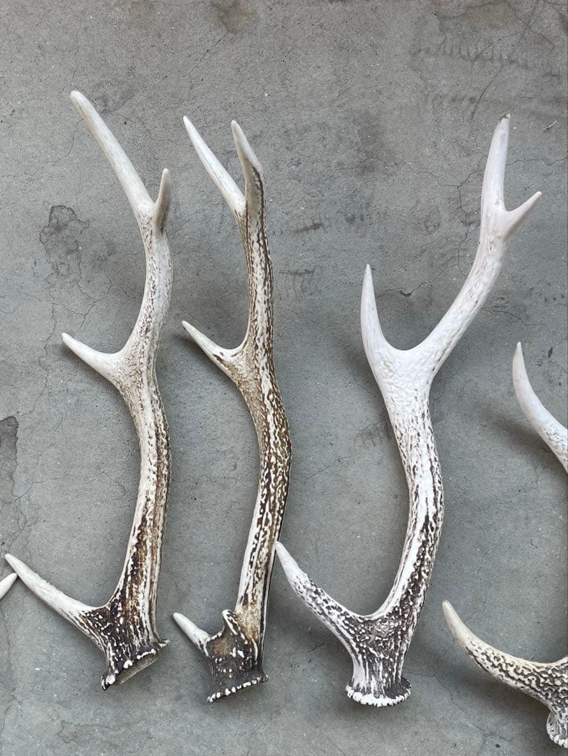 鹿の角　9本　まとめ売り