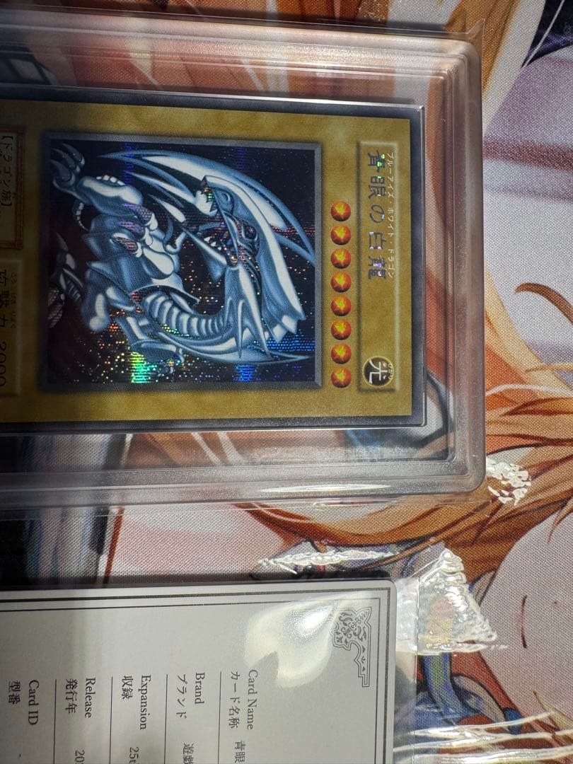 【最安値】遊戯王　青眼の白龍　海馬セット　ars10 鑑定書付き