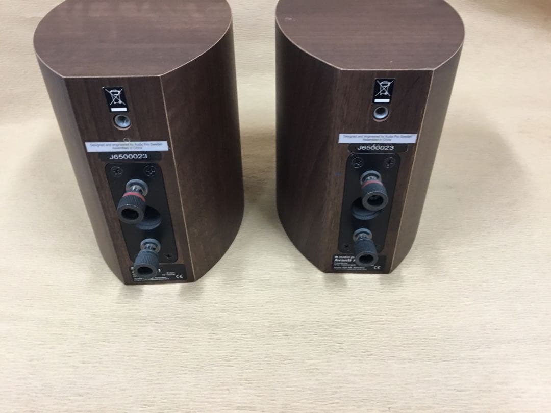 (送料無料鹿児島発)動作確認済み audio pro AVANTI A.1