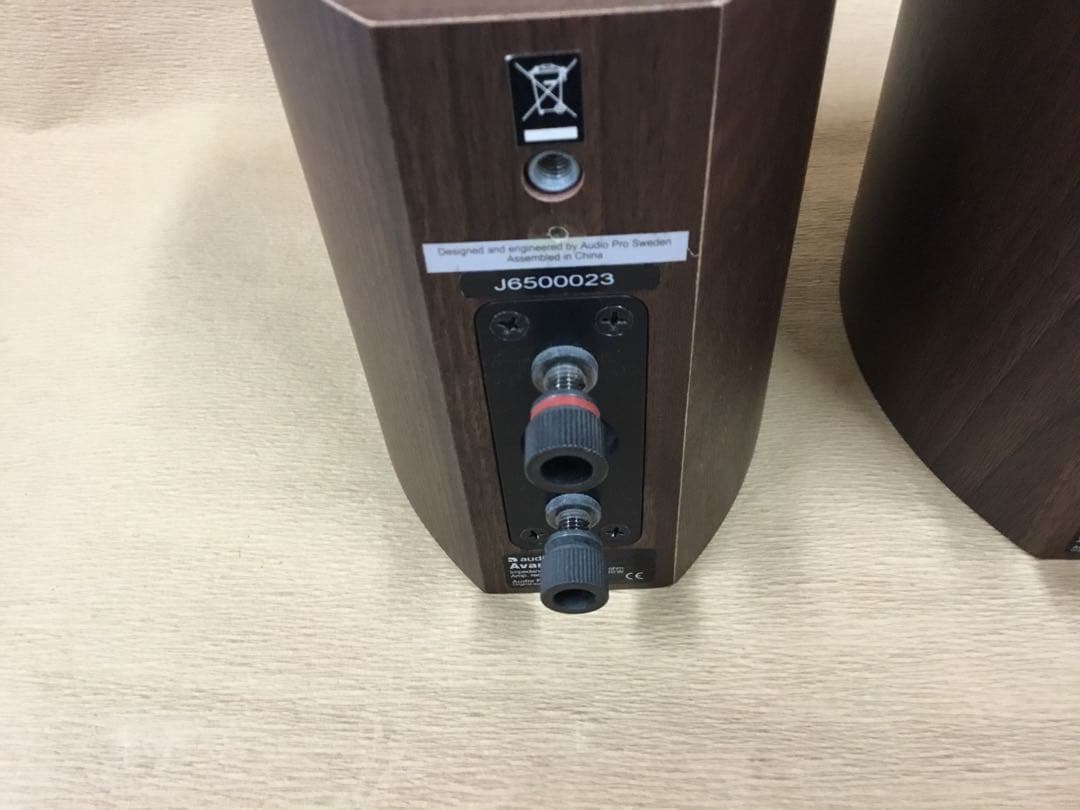 (送料無料鹿児島発)動作確認済み audio pro AVANTI A.1