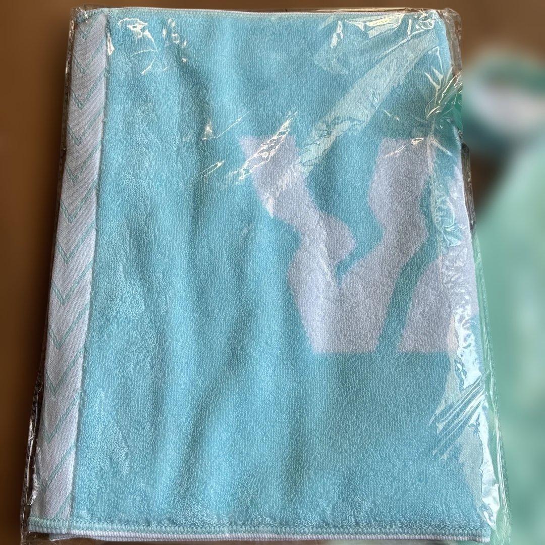 VAUNDY バウンディ　新品未開封グッズセット　Tシャツ・タオル・ラババン
