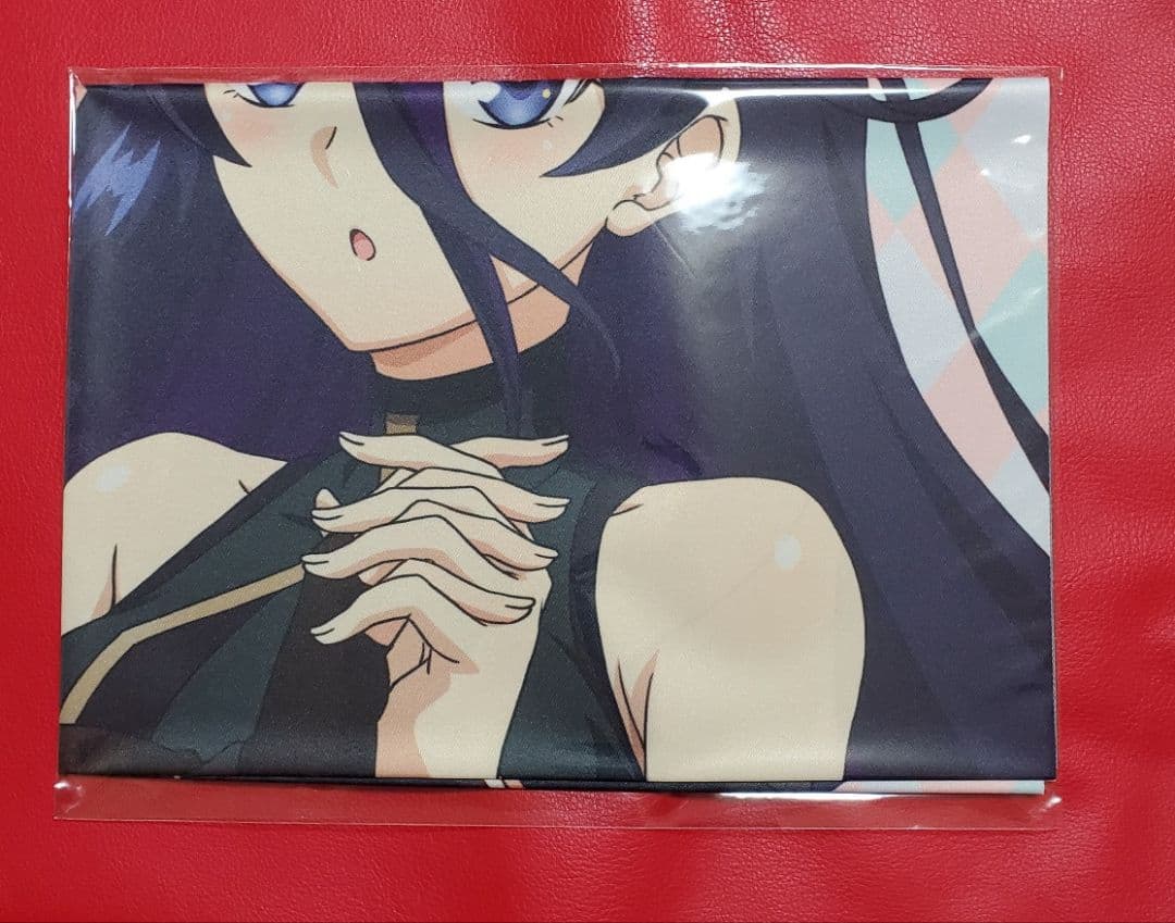 嘆きの亡霊は引退したい Blu-ray 第4巻 アニメイト特典　タペストリー