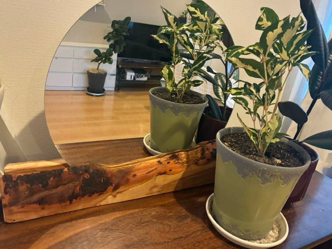 【一点もの】国産・山桜の一枚板と丸鏡 置き鏡 ドレッサー ミラー 皮付き 無垢材