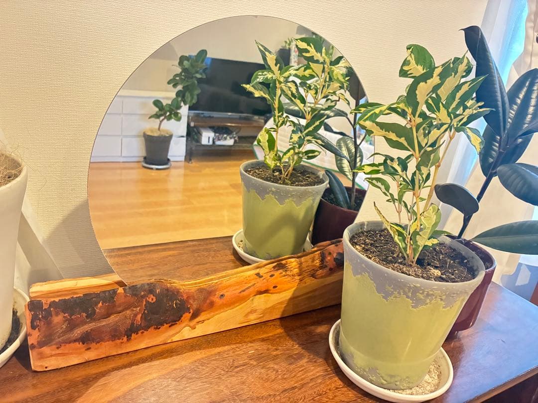 【一点もの】国産・山桜の一枚板と丸鏡 置き鏡 ドレッサー ミラー 皮付き 無垢材