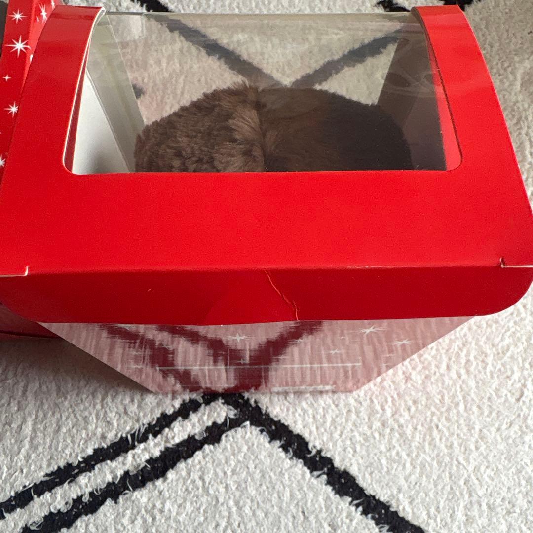 EXILE ATSUSHI スナちゃん ぬいぐるみ 3つセット