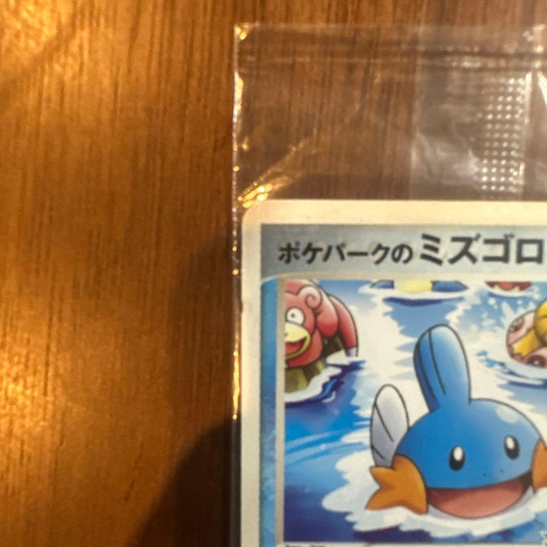 未開封　ポケパークのミズゴロウ PCG-P 048