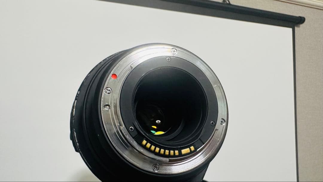【むーむーらー】SIGMA 150-500mm