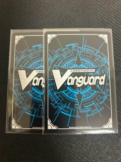 ジョイアンスデリバリー エルディール SR 2枚