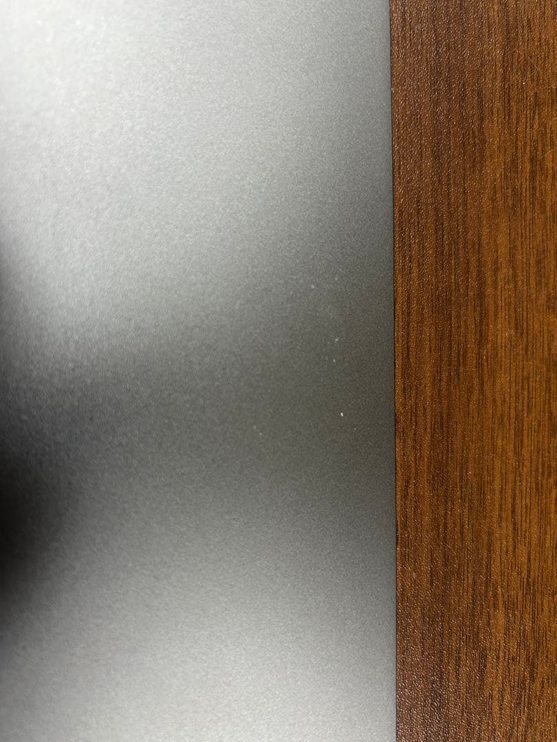 iPad pro 12.9インチ 256GB wifi+cellular