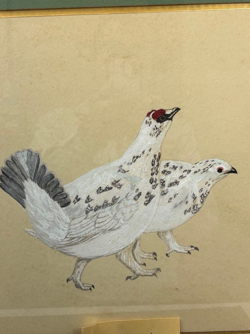 【額入水彩画】ライチョウ　川崎 信夫 3085