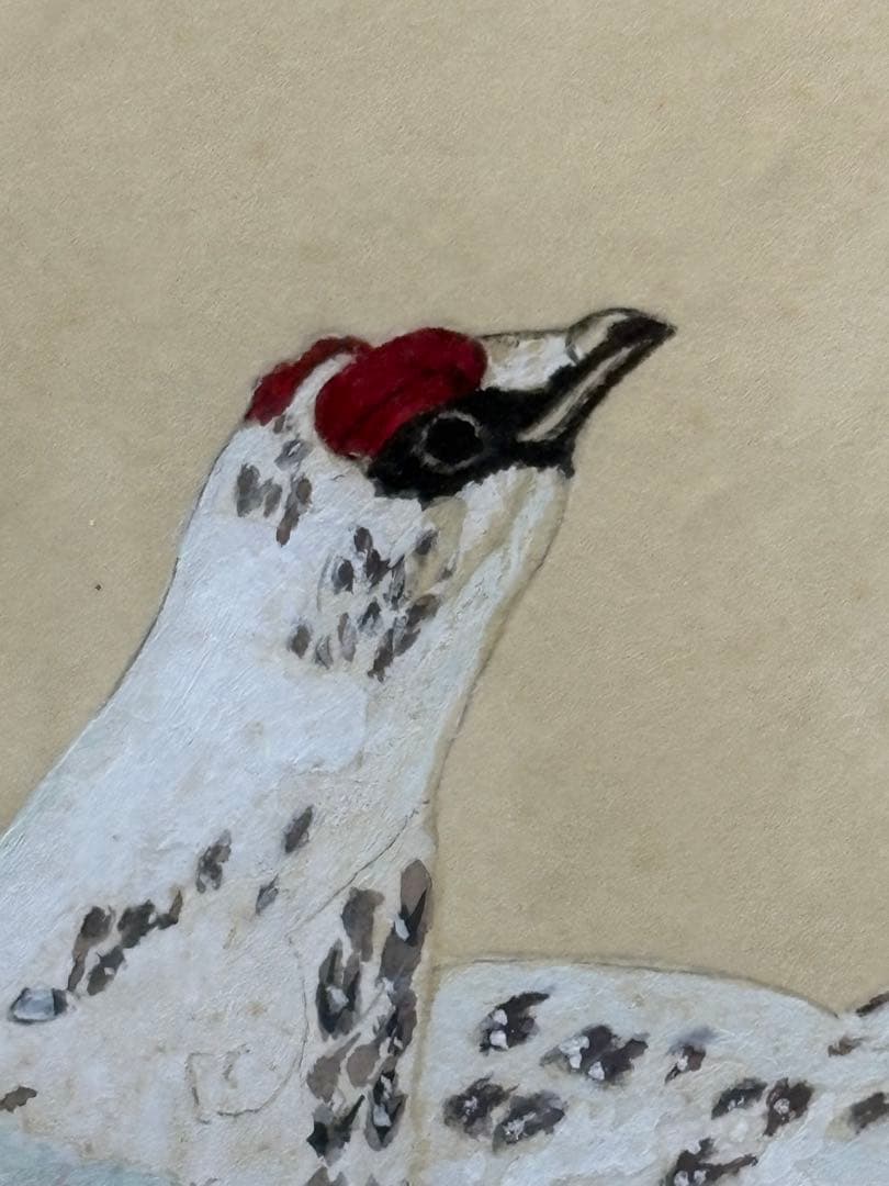 【額入水彩画】ライチョウ　川崎 信夫 3085