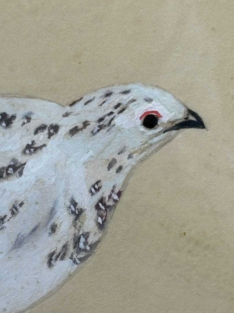 【額入水彩画】ライチョウ　川崎 信夫 3085