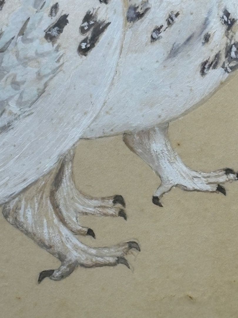 【額入水彩画】ライチョウ　川崎 信夫 3085