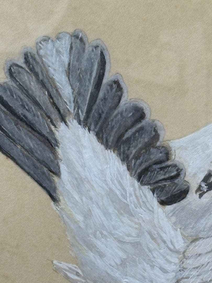 【額入水彩画】ライチョウ　川崎 信夫 3085