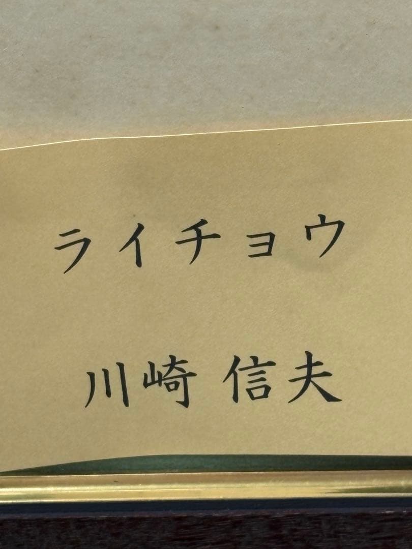 【額入水彩画】ライチョウ　川崎 信夫 3085