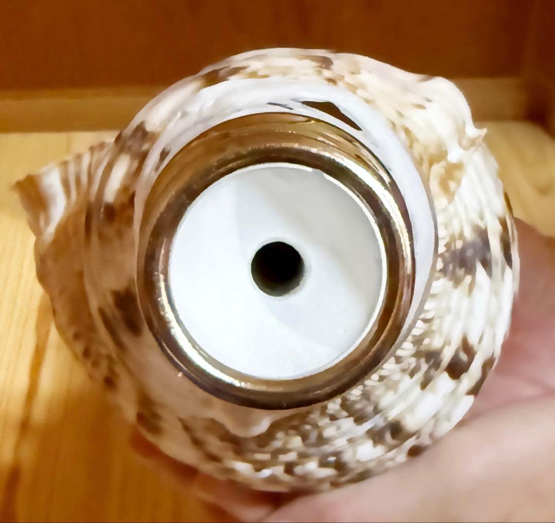 コンパクト修験道法螺貝　山伏　密教　魔除け　熊よけ❣️ほら貝　ホラガイ