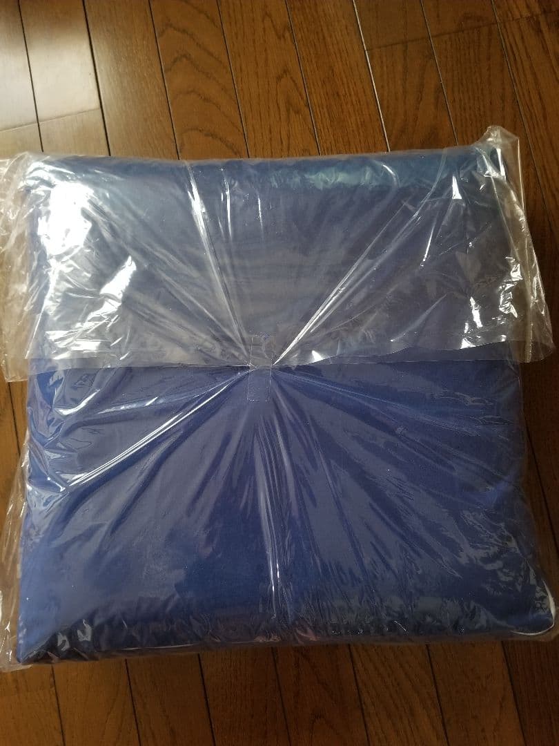 トゥルースリーパー　低反発座布団　2つセット