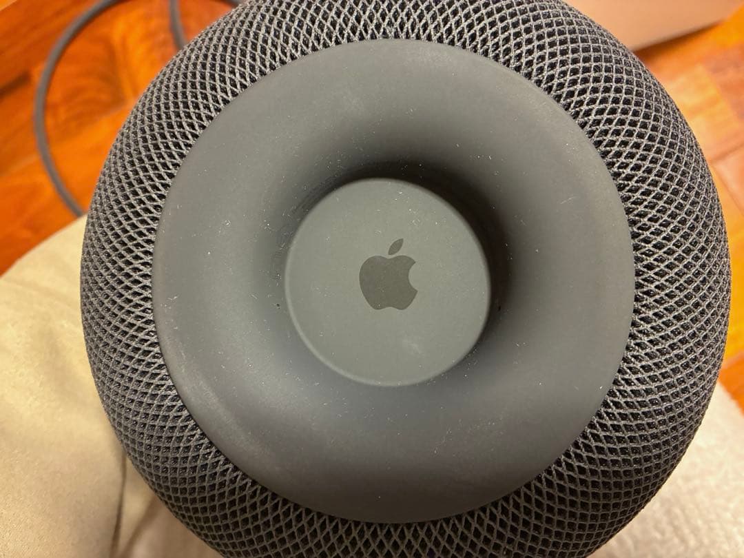 Apple Pod スペースグレー 本体　箱付き　※説明文ご覧ください