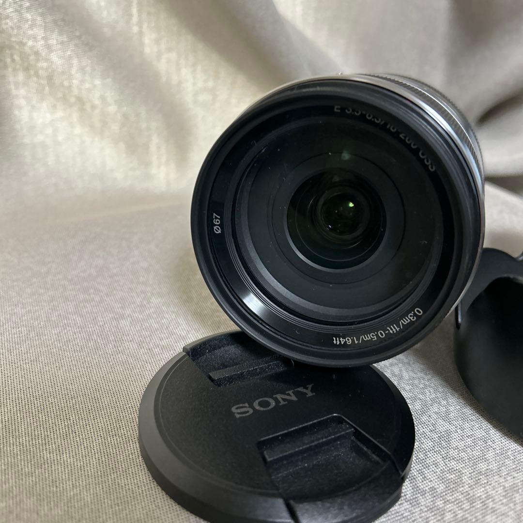 SONY SEL 18200 18-200mm F3.5-6.3 価格交渉あり
