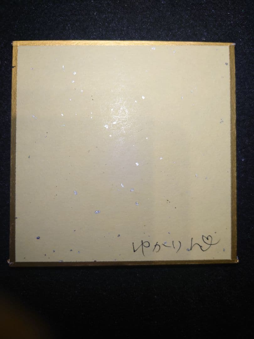 300　手描きイラスト　ポケモンZA　カラスバ&アーボック