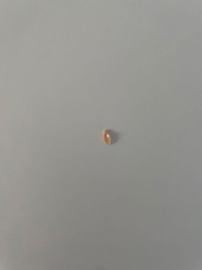 リヤドロ　LOVE花ひらく