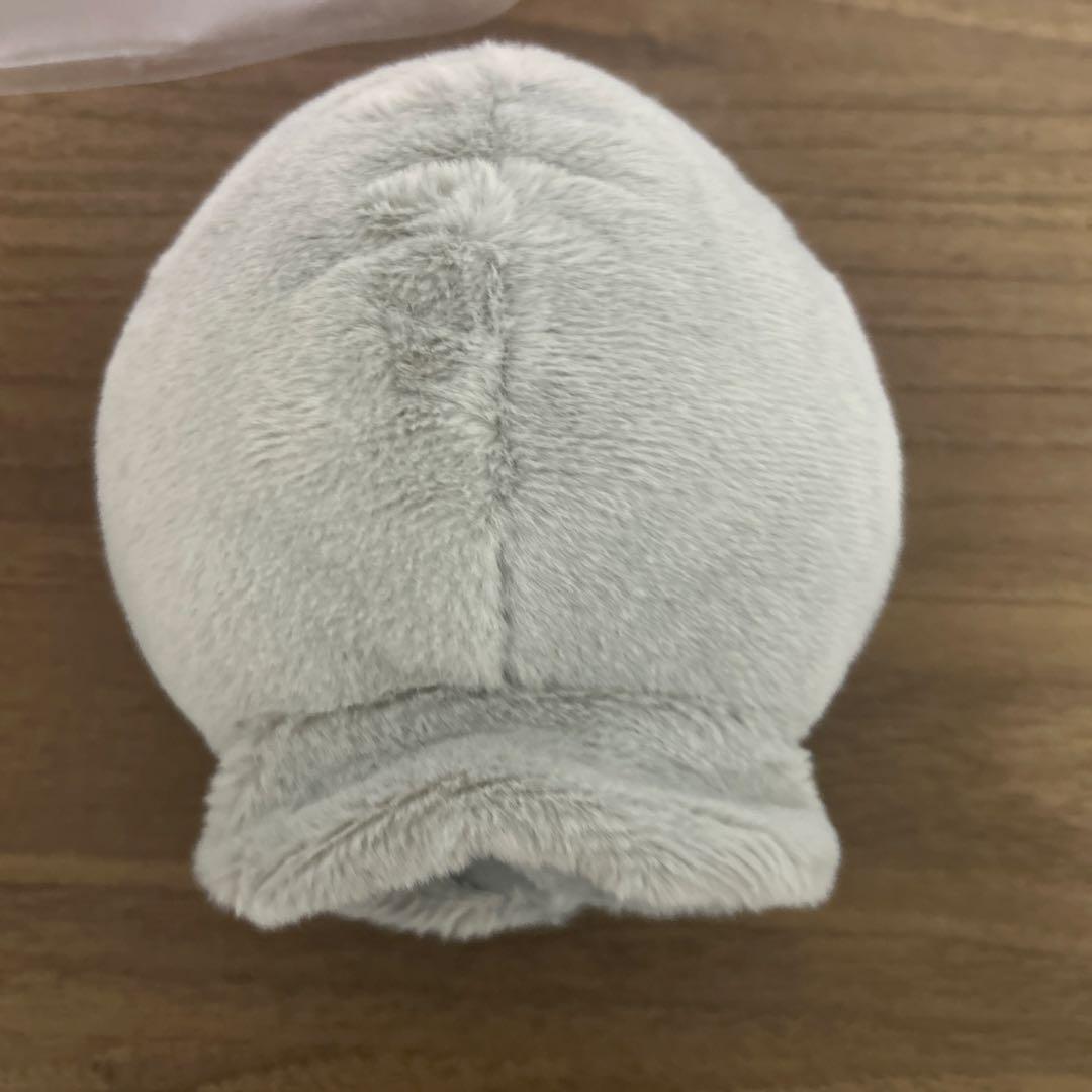 RIIZE ウンソク ソンヨンドリ ペンライトカバー ファンライトケープ