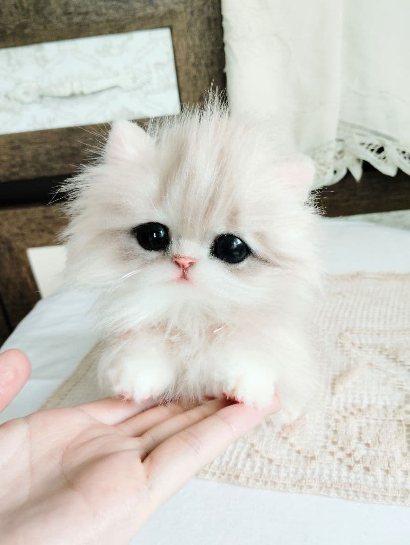 可愛いホイップちゃん♡ミヌエット子猫♡アートドール♡ぬいぐるみ♡