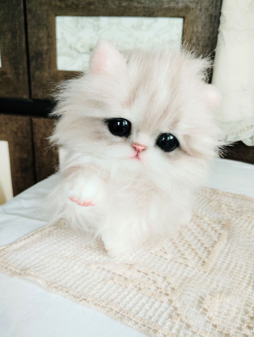 可愛いホイップちゃん♡ミヌエット子猫♡アートドール♡ぬいぐるみ♡