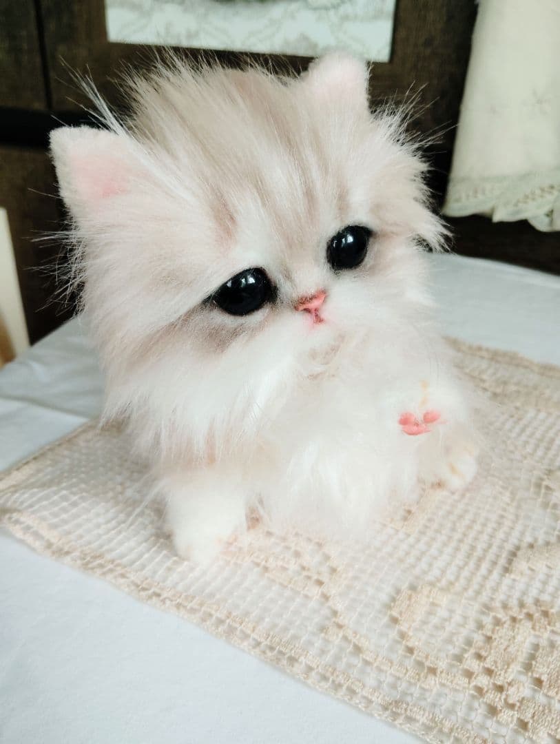 可愛いホイップちゃん♡ミヌエット子猫♡アートドール♡ぬいぐるみ♡