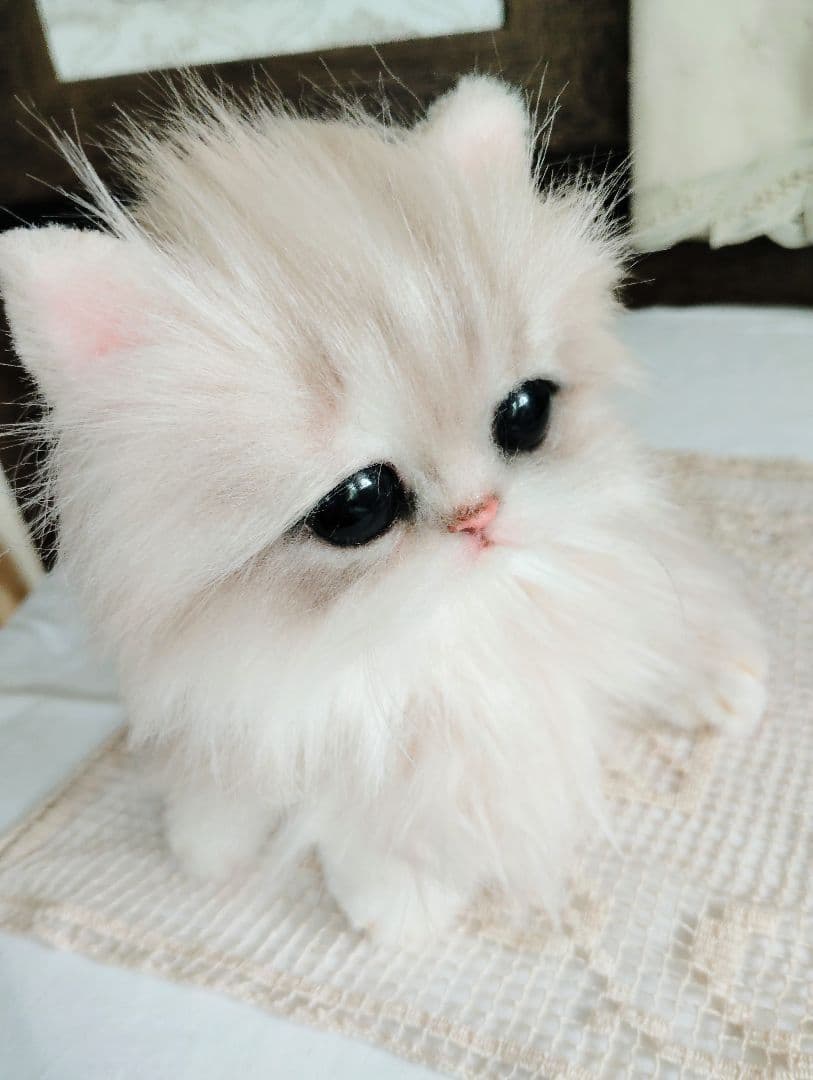 可愛いホイップちゃん♡ミヌエット子猫♡アートドール♡ぬいぐるみ♡