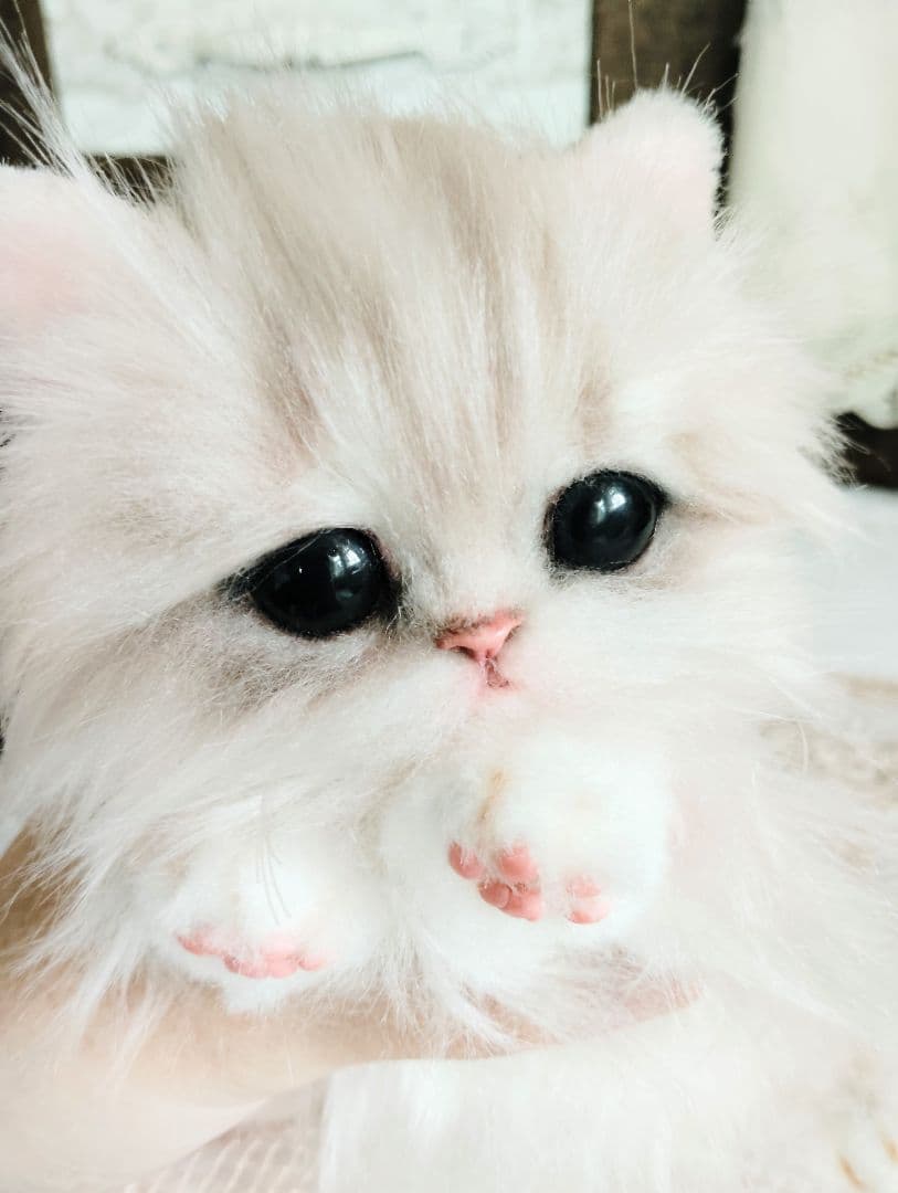 可愛いホイップちゃん♡ミヌエット子猫♡アートドール♡ぬいぐるみ♡