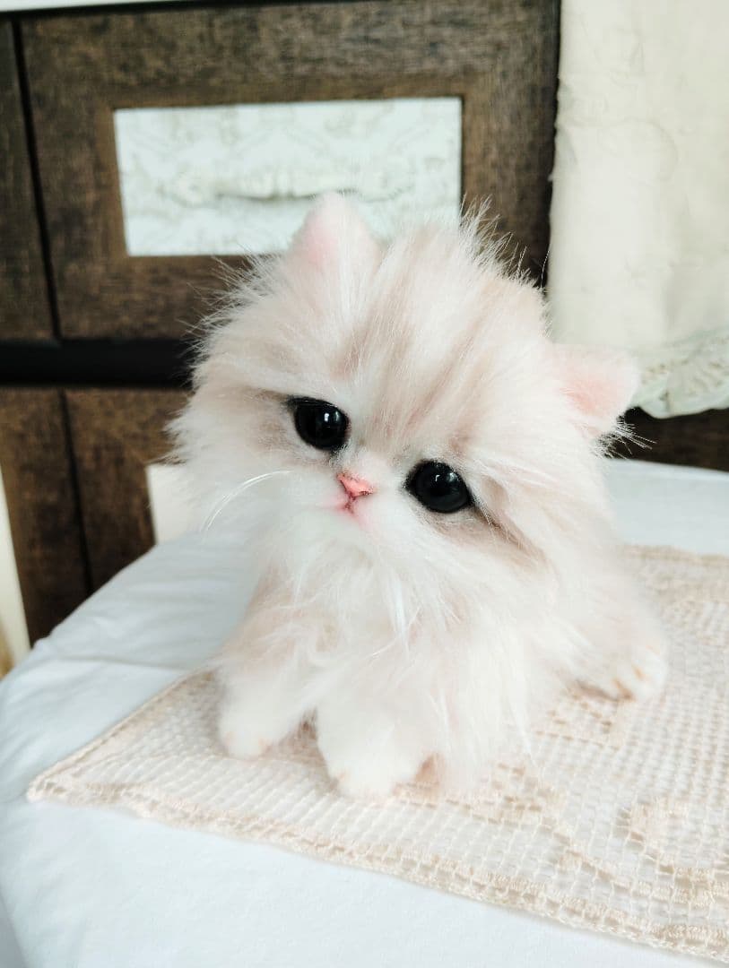 可愛いホイップちゃん♡ミヌエット子猫♡アートドール♡ぬいぐるみ♡