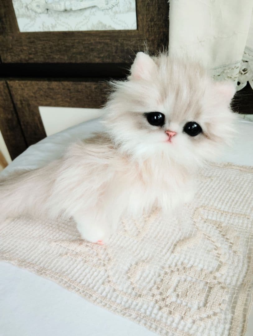 可愛いホイップちゃん♡ミヌエット子猫♡アートドール♡ぬいぐるみ♡