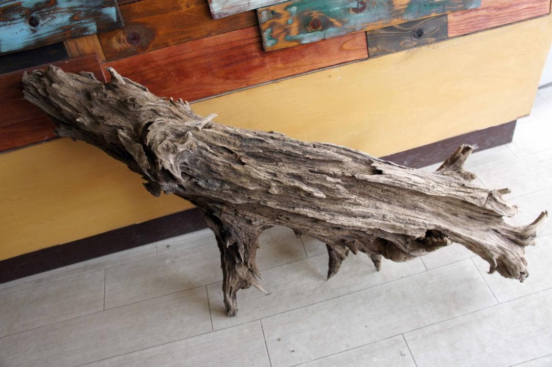 流木 インテリア 大型サイズ オブジェ ケージ 登り木 爬虫類 小動物 送料無料