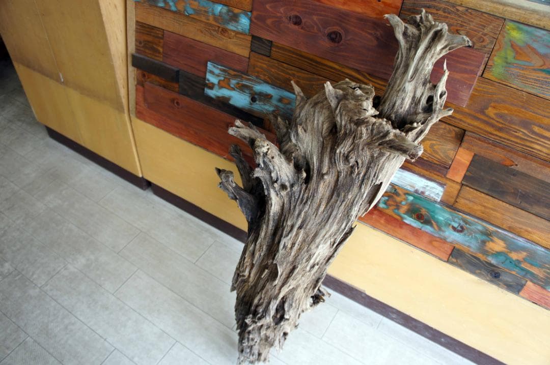 流木 インテリア 大型サイズ オブジェ ケージ 登り木 爬虫類 小動物 送料無料