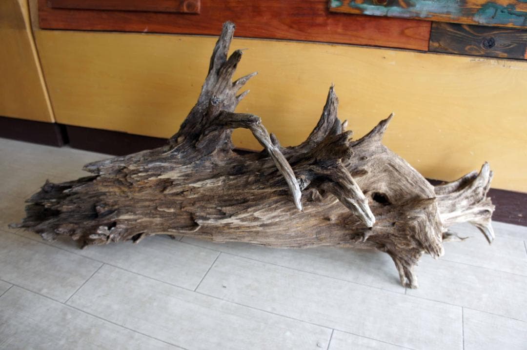 流木 インテリア 大型サイズ オブジェ ケージ 登り木 爬虫類 小動物 送料無料