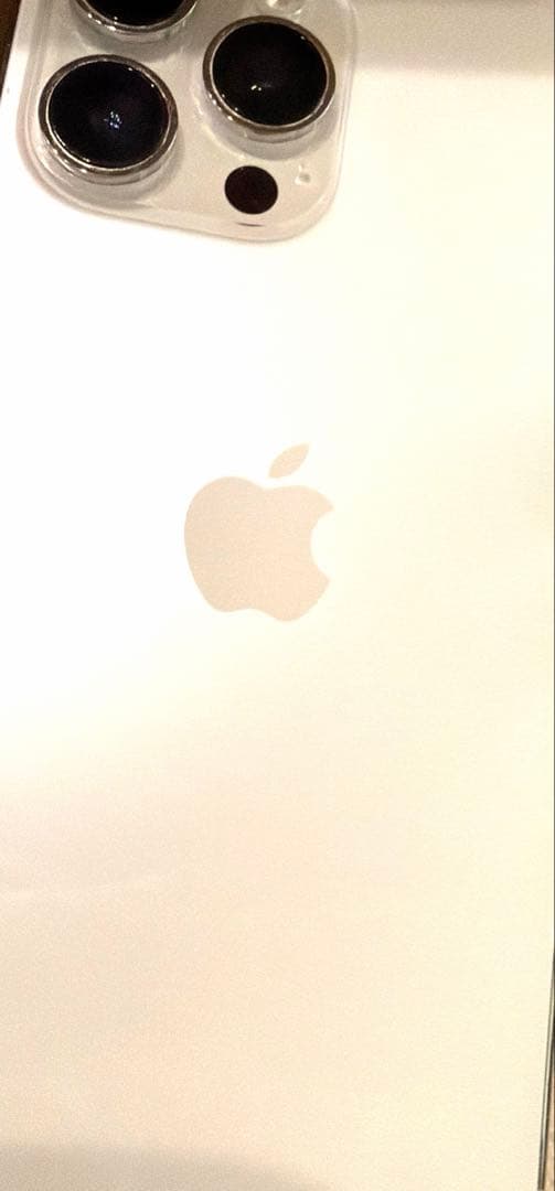 iPhone13promax 1T 1テラ