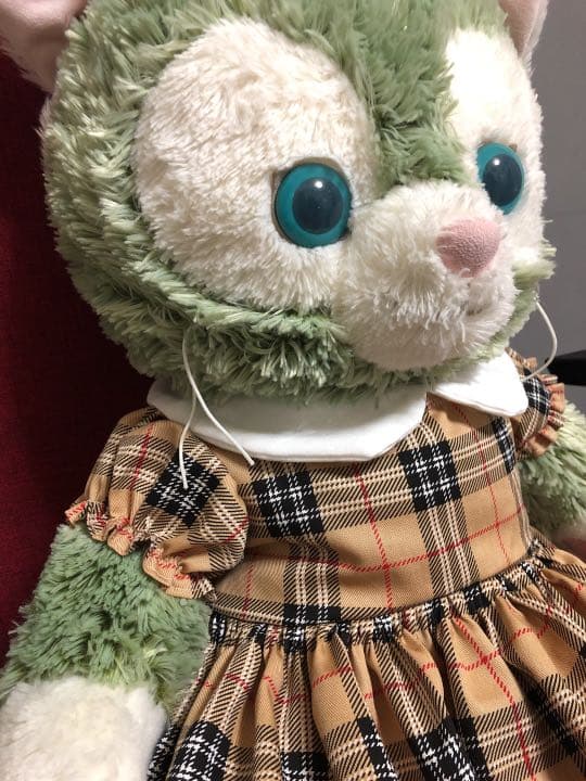 受注生産Mサイズ着用可能 お揃いコスチューム